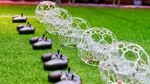 米兰体育 资讯 115441 5c9