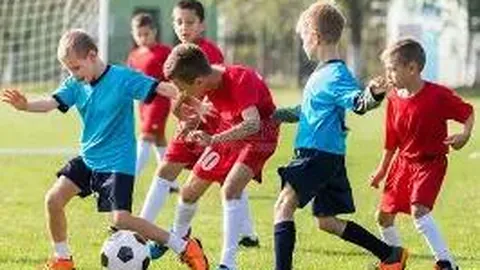 电视节目播出表