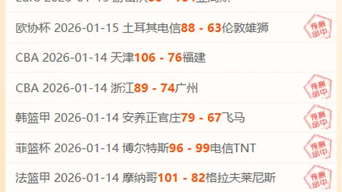 瑞昌羽毛球超级联赛夺冠，王祉怡关键得分显神威