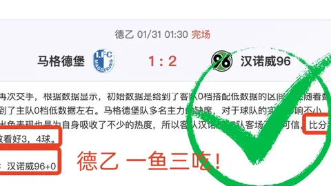 火箭止步连败，库明加创生涯新高独得33分，格林投篮命中率低至16中4