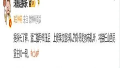 斯温威尔逊米兰体育娱乐：猎杀对手的场上一号猎手，2026最新赛场攻略解析